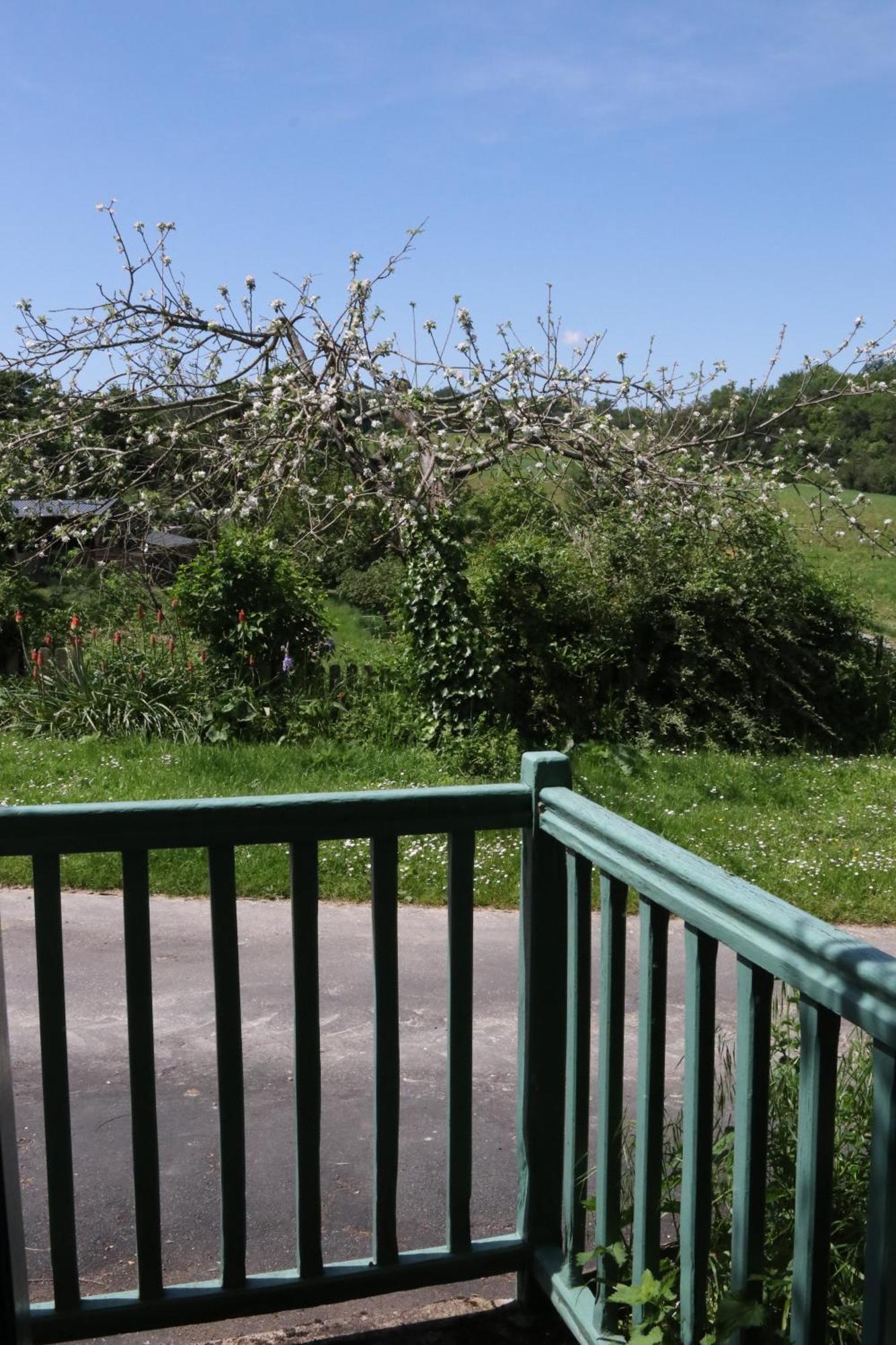 Chambres D'Hotes Du Noisillet Cinais Esterno foto