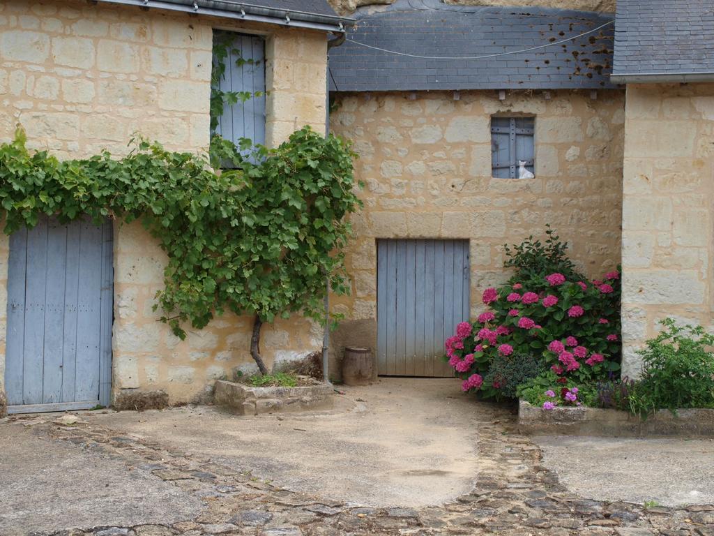 Chambres D'Hotes Du Noisillet Cinais Esterno foto