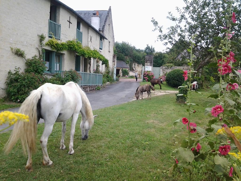 Chambres D'Hotes Du Noisillet Cinais Esterno foto
