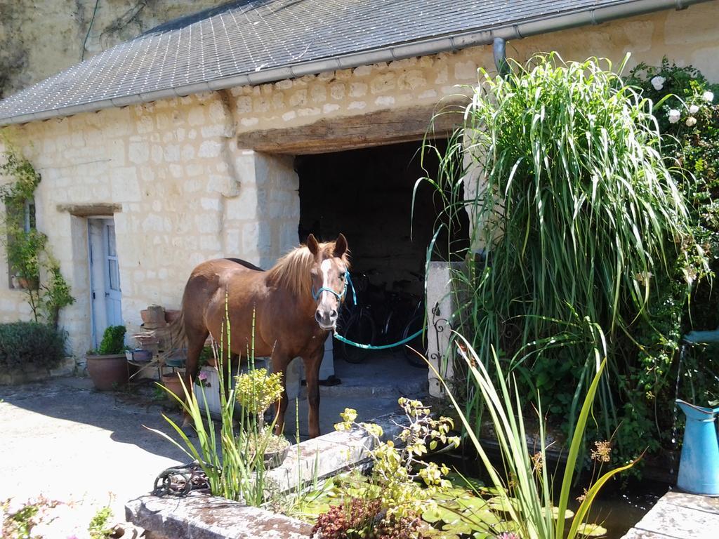 Chambres D'Hotes Du Noisillet Cinais Esterno foto